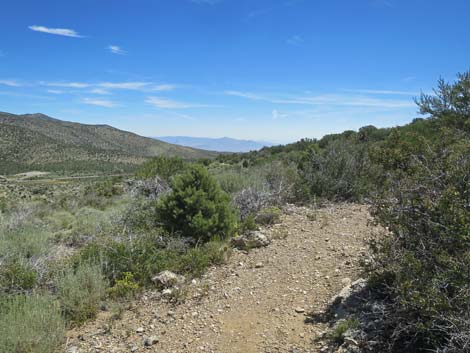 Escarpment Trail