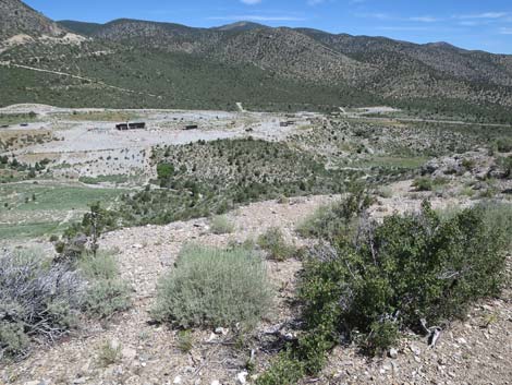 Escarpment Trail