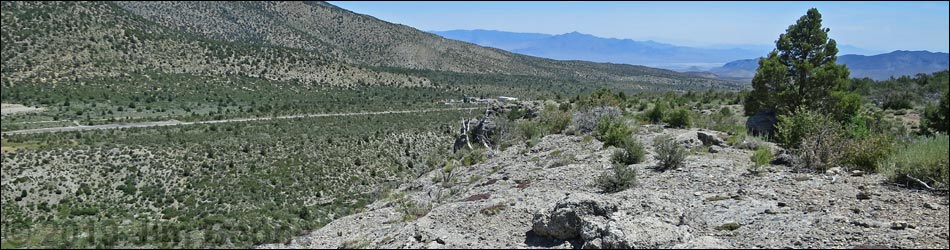 Escarpment Trail