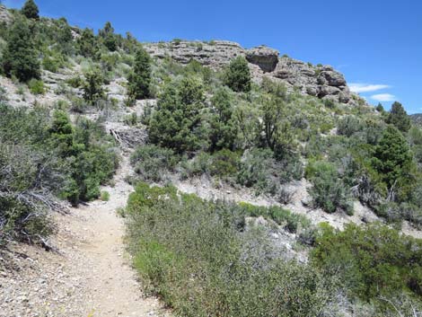 Escarpment Trail