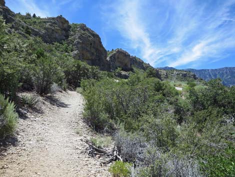 Escarpment Trail