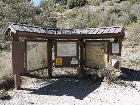 Fletcher Canyon Trail