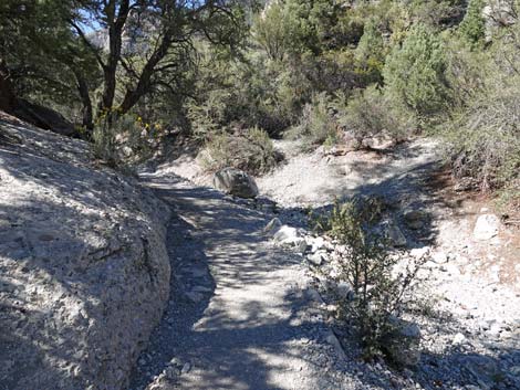 Fletcher Canyon Trail