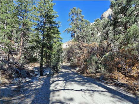 Fletcher Canyon Trail