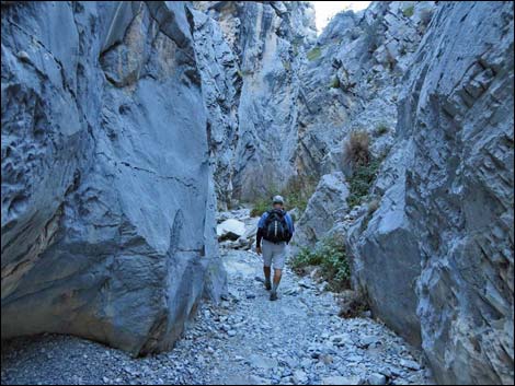 Fletcher Canyon Trail