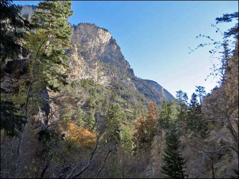 Fletcher Canyon Trail