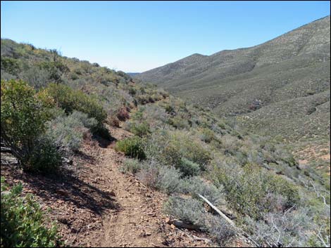 Griffith Shadow South Trail