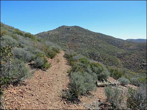 Griffith Shadow South Trail