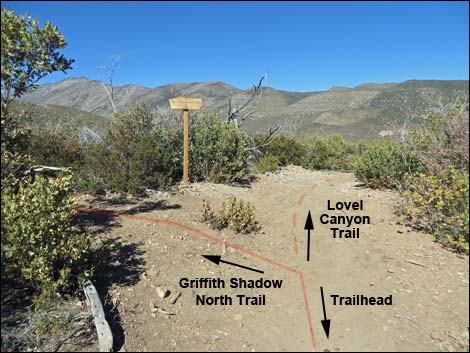 Griffith Shadow South Trail