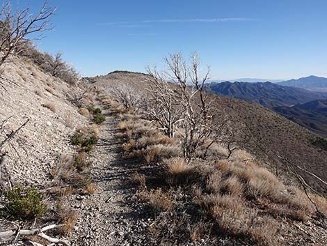 Harris Saddle Trail