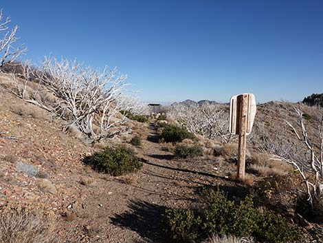 Harris Saddle Trail