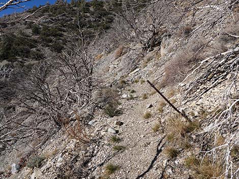 Harris Saddle Trail