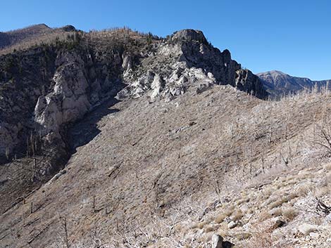 Harris Saddle Trail