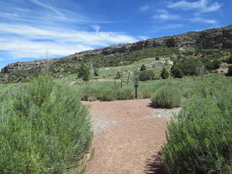 Escarpment Trail