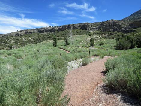 Escarpment Trail