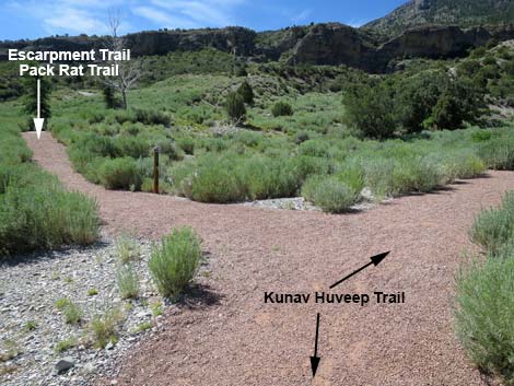 Kunav Huveep Trail