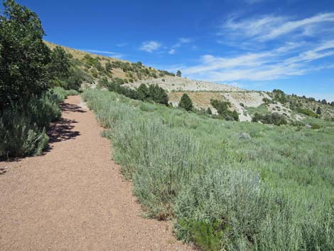 Escarpment Trail