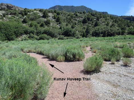 Kunav Huveep Trail