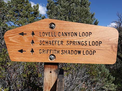 Lovell Canyon Trail