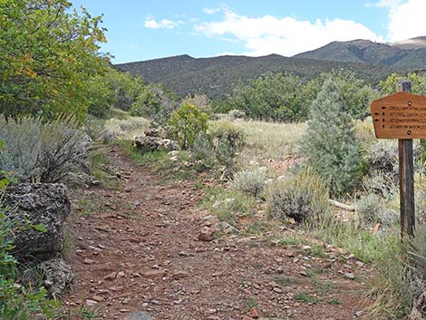 Lovell Canyon Trail