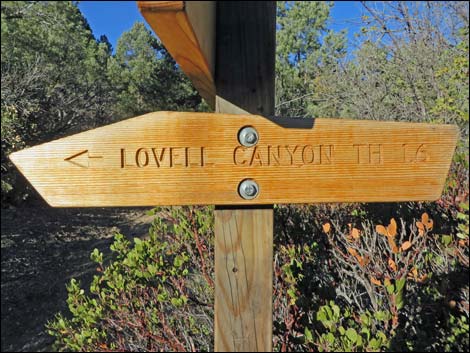 Lovell Canyon Trail