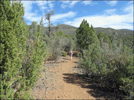 Lovell Canyon Trail