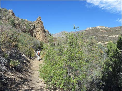 Lovell Canyon Trail