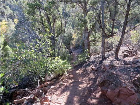 Lovell Canyon Trail