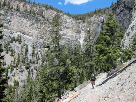 Mary Jane Falls