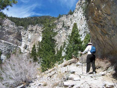 Mt. Charleston Area