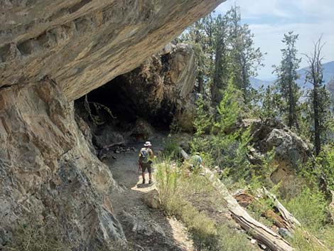 Cave Spring