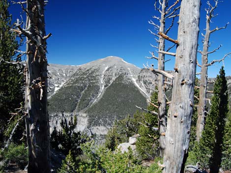 North Loop Trail -- North Ridge