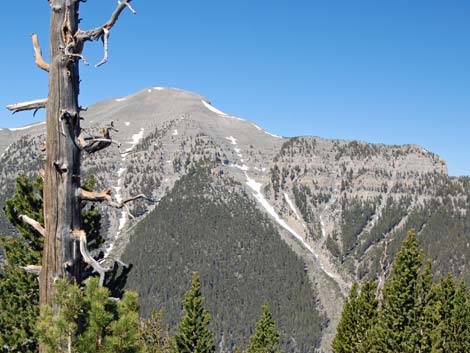 North Loop Trail -- North Ridge