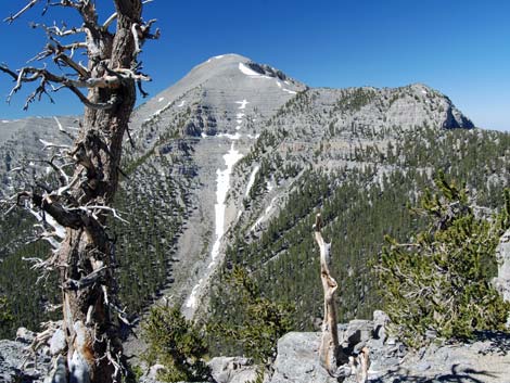 North Loop Trail -- North Ridge