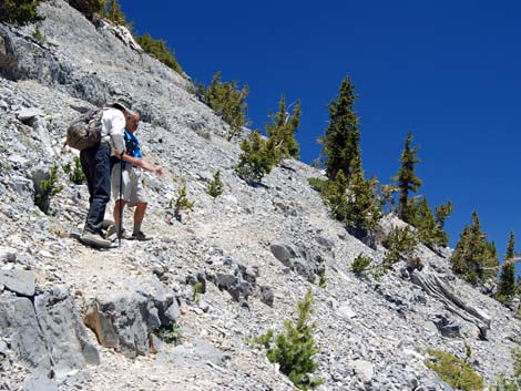 Mt Charleston, East Face