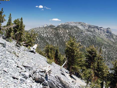 Mt Charleston, East Face