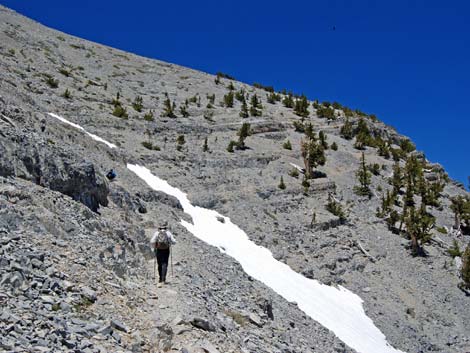 Mt Charleston, East Face