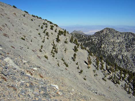 Mt Charleston, East Face