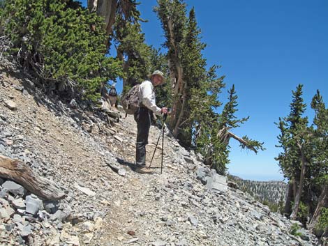 Mt Charleston, East Face