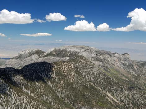 Mt. Charleston Summit