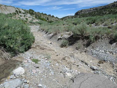 Escarpment Trail