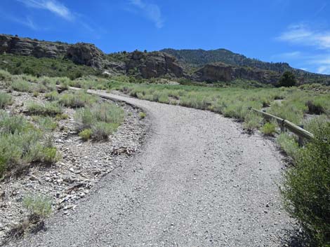 Escarpment Trail