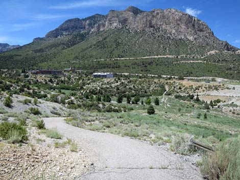 Escarpment Trail