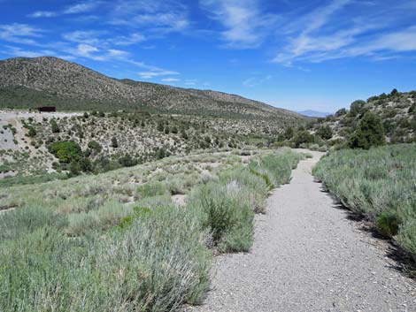 Escarpment Trail