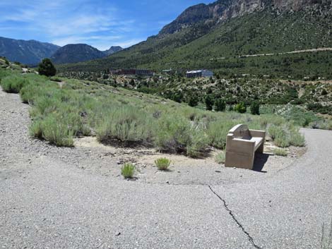 Escarpment Trail