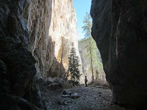 Robbers Roost Trail