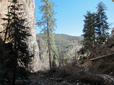 Robbers Roost Trail