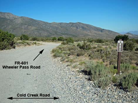 Cold Creek Road