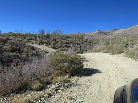 Harris Mountain Road