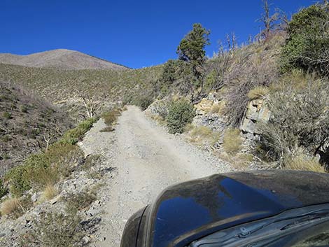 Harris Mountain Road